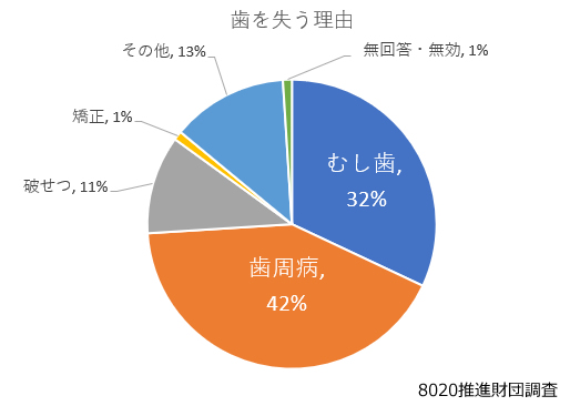 府中(府中市)の歯医者、府中後藤歯科クリニックで予防歯科